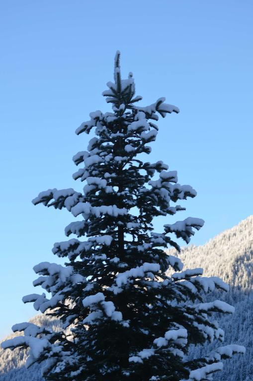 Haus Kargruber Apartman Santa Maddalena in Casies Kültér fotó